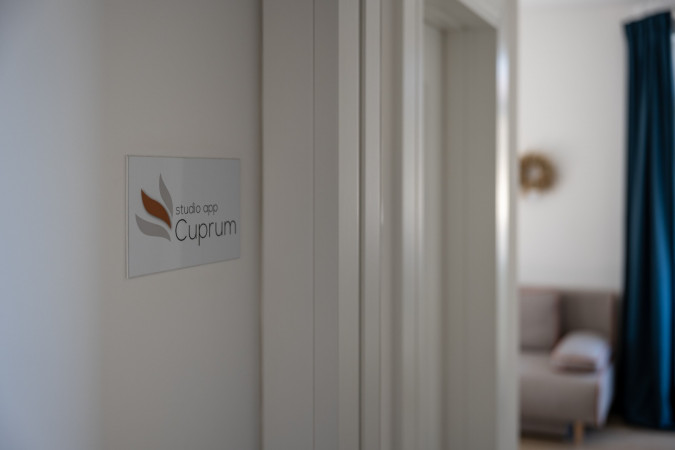 STUDIO APP CUPRUM, Apartments Pausa in Žminj - modern rustic accommodation in the heart of Istria Žminj