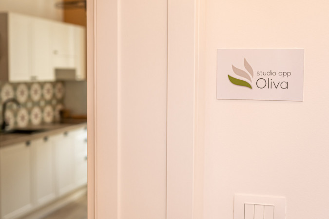 Studio App Oliva, Apartments Pausa in Žminj - modern rustic accommodation in the heart of Istria Žminj
